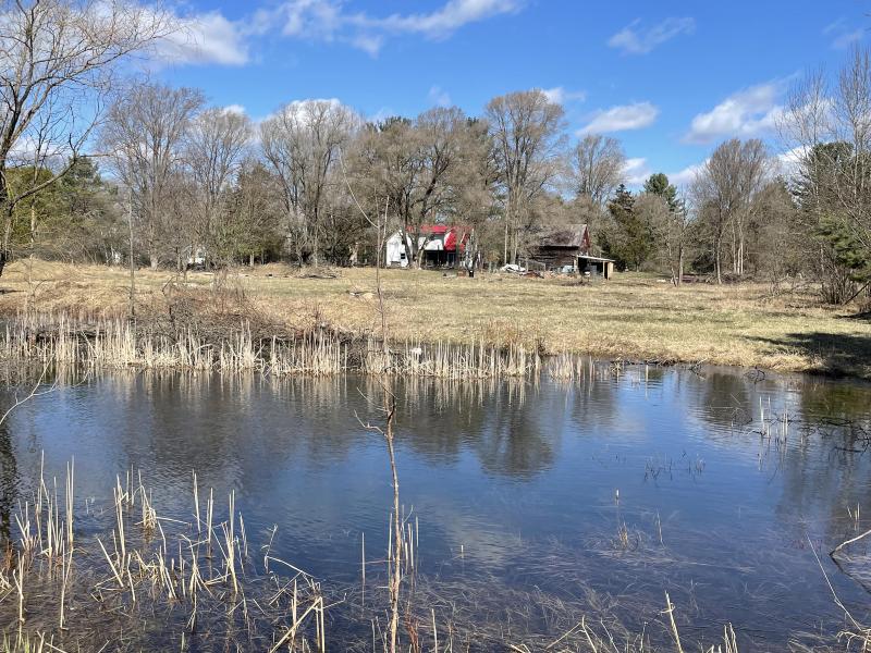 Listing Photo for 18987 11 Mile Road Road