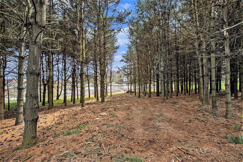 Listing Photo for 68413 Territoriall Rd Road