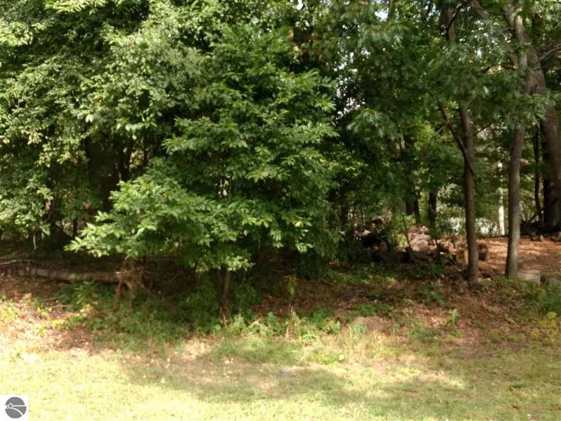 Listing Photo for N/A Point Augres Road LOT 60
