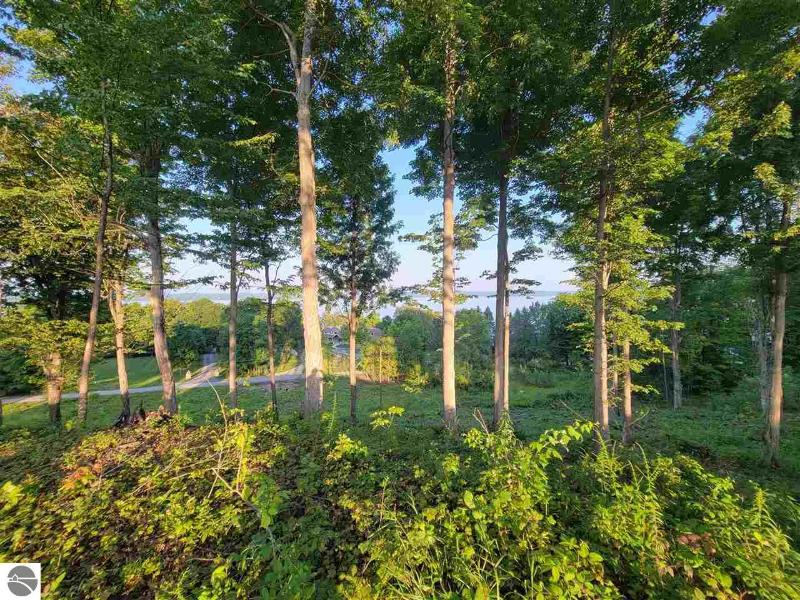 Listing Photo for LOT 6 Torch Hills Lane