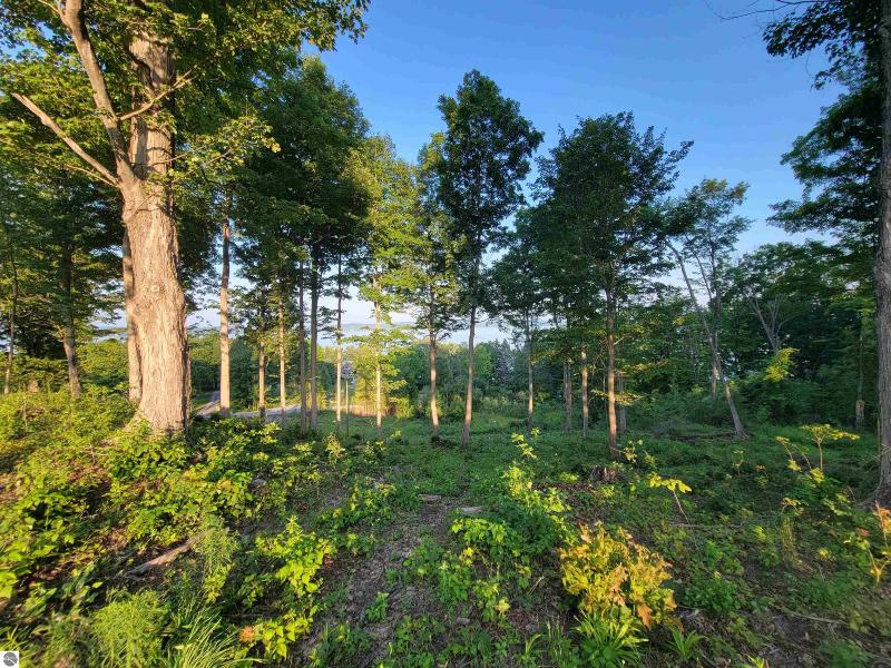 Listing Photo for LOT 4 Torch Hills Lane