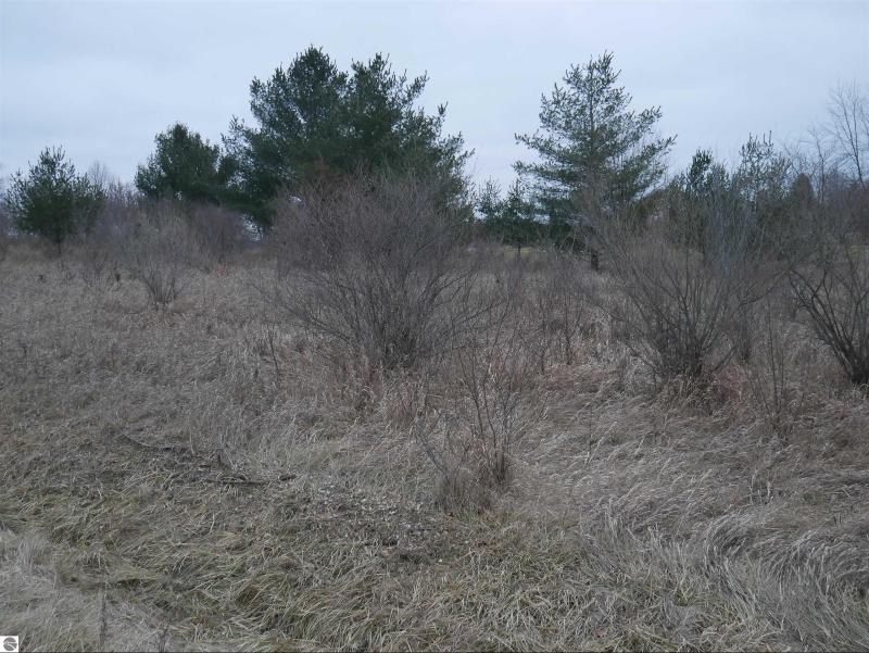 Listing Photo for 00 Track Iron Trail LOT 301