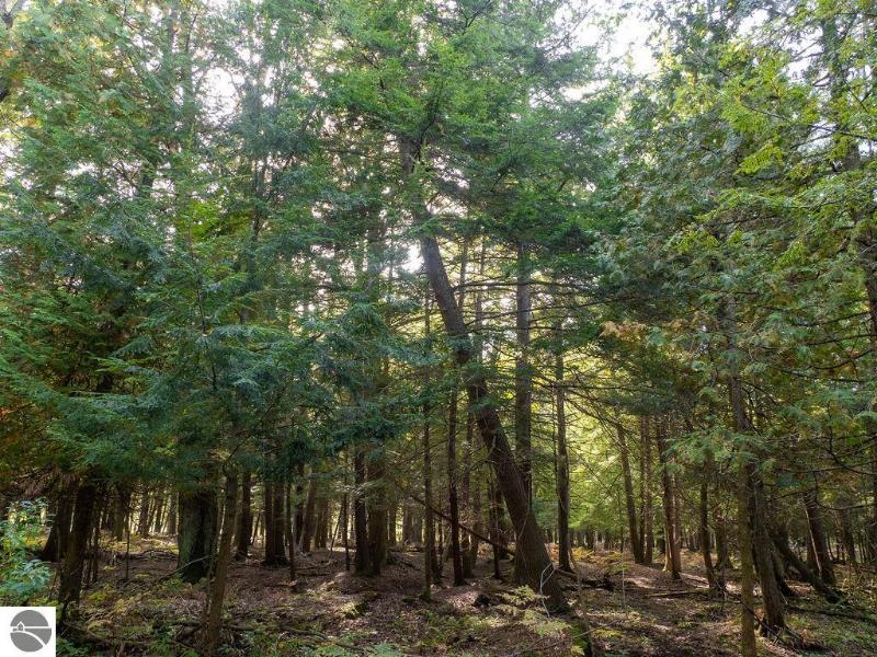 Listing Photo for 00 E Birch Point Road