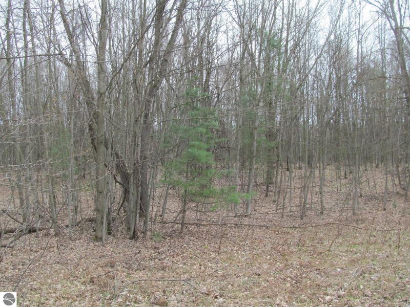 Listing Photo for LOT 25 River Woods Road RIVER WOODS ESTATES #2