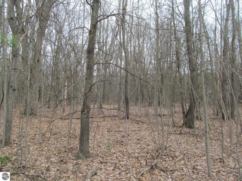 Listing Photo for LOT 25 River Woods Road RIVER WOODS ESTATES #2