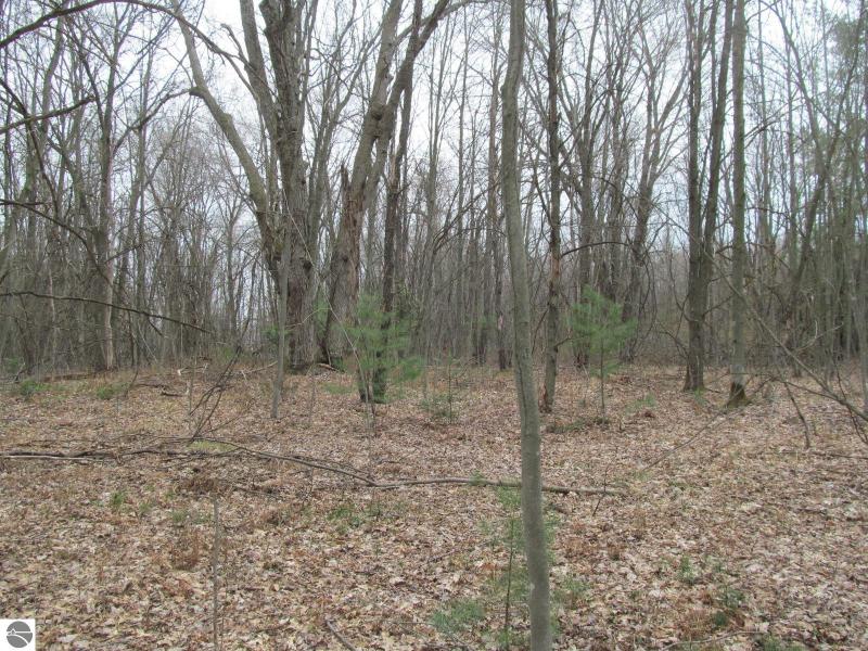 Listing Photo for LOT 24 River Woods Road RIVER WOODS ESTATES #2