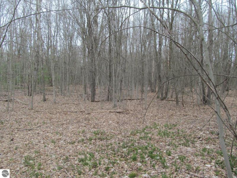 Listing Photo for LOT 24 River Woods Road RIVER WOODS ESTATES #2