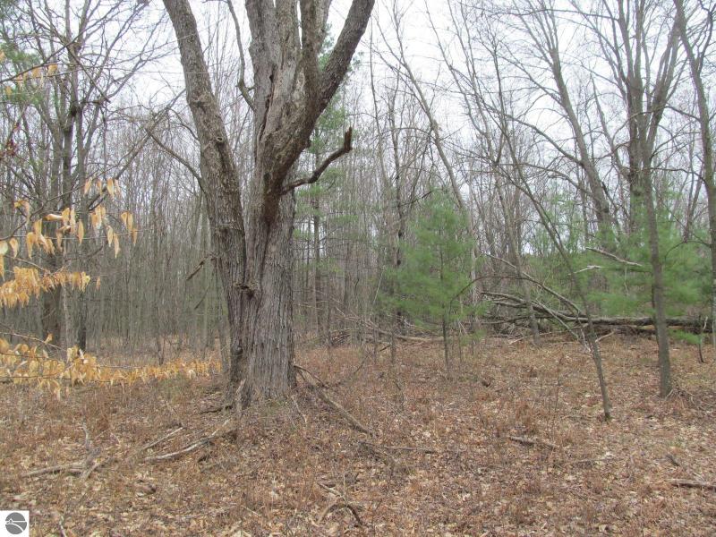 Listing Photo for LOT 23 River Woods Road RIVER WOODS ESTATES #2