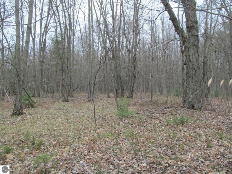 Listing Photo for LOT 9 W Blue Road RIVER WOODS ESTATES #1