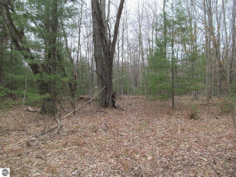Listing Photo for LOT 9 W Blue Road RIVER WOODS ESTATES #1