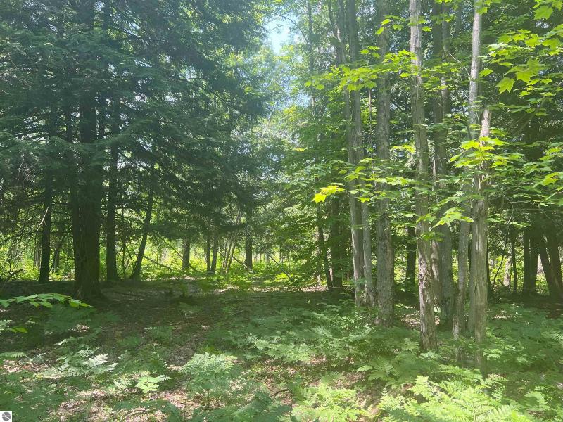 Listing Photo for 80 ACRES Traverse Road