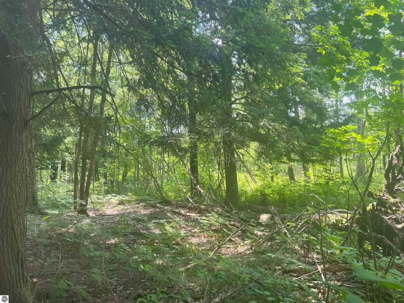 Listing Photo for 80 ACRES Traverse Road