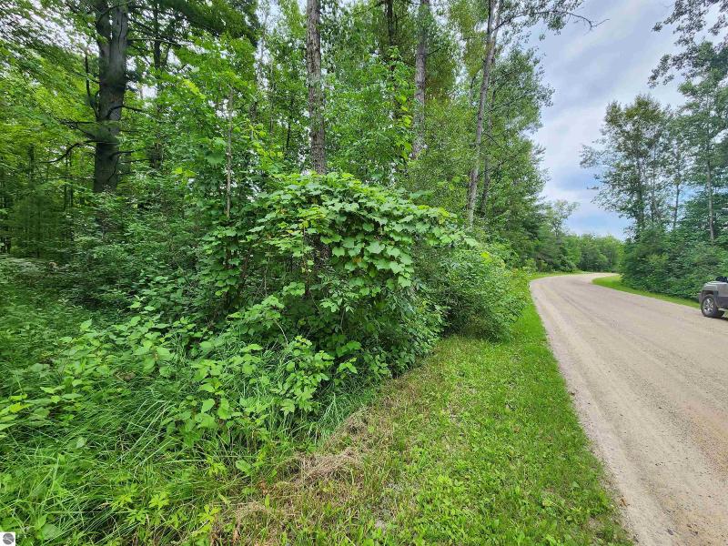 Listing Photo for NHN James Ray Road