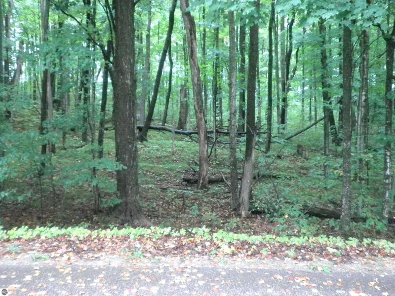 Listing Photo for LOT 20 Staceywood Circle