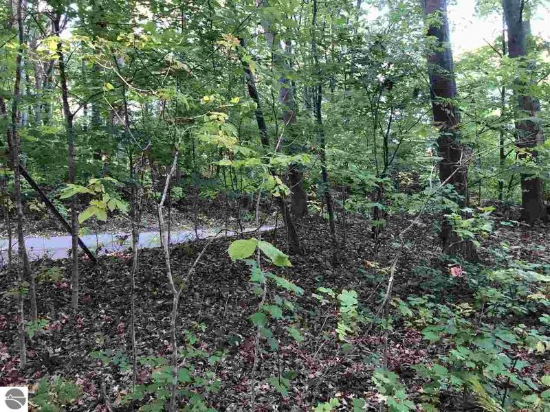 Listing Photo for LOT 122 Crystal Downs Drive