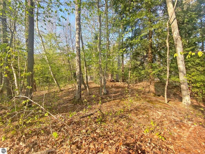 Listing Photo for 11 Pine Trace
