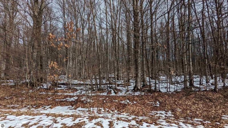 Listing Photo for LOT 320,321 Swiss Village VALLEYWOOD DRIVE SWISS VILLAGE EAST NO. 5