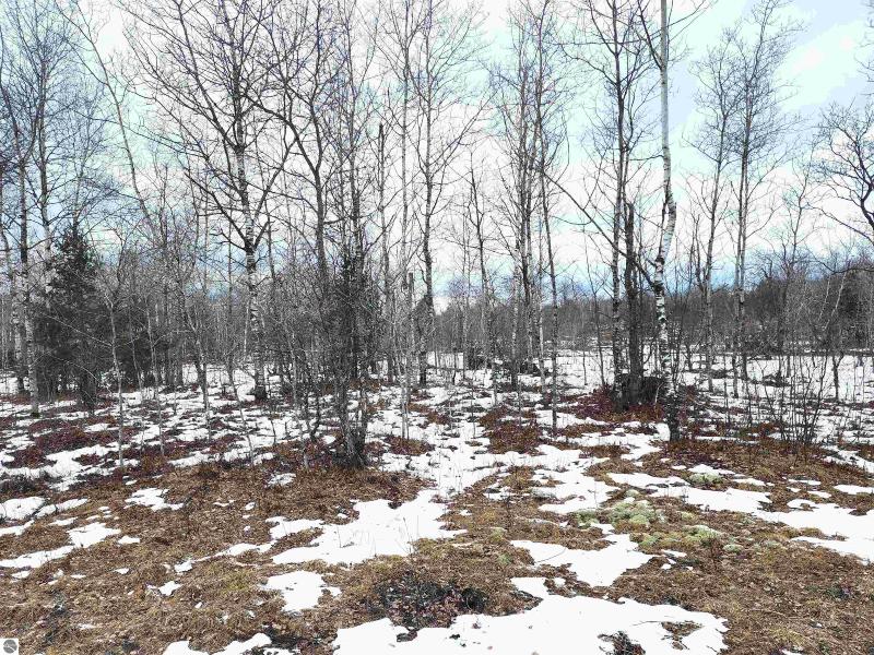 Listing Photo for LOT 490 Manistee Heights Drive LOT 490