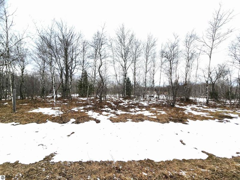 Listing Photo for LOT 488 Manistee Heights No 1 LOT 488