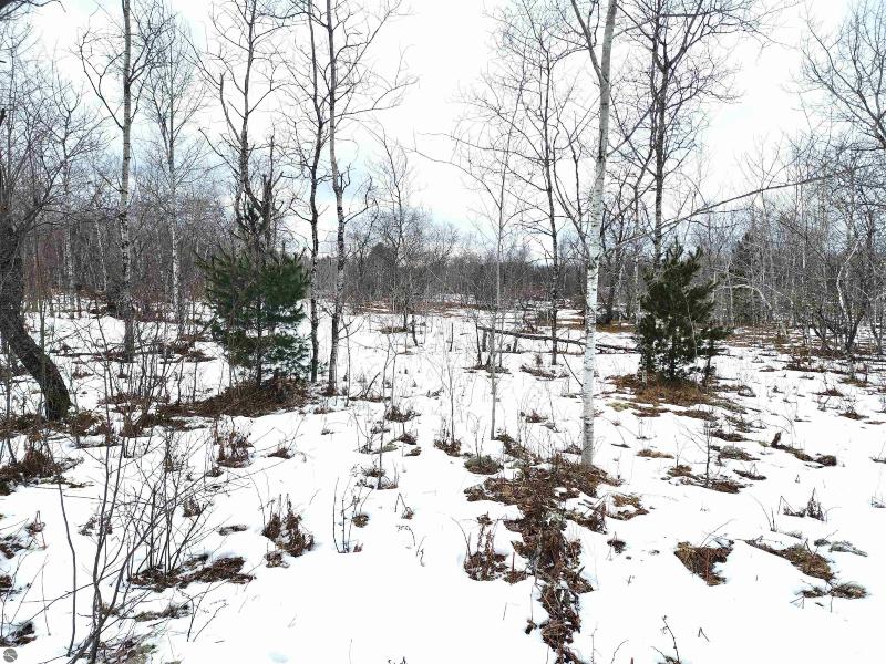 Listing Photo for LOT 489 Manistee Heights No 1 LOT 489