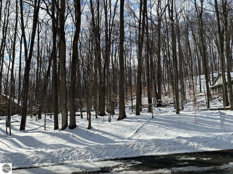 Listing Photo for LOT 51 Val Disere Drive