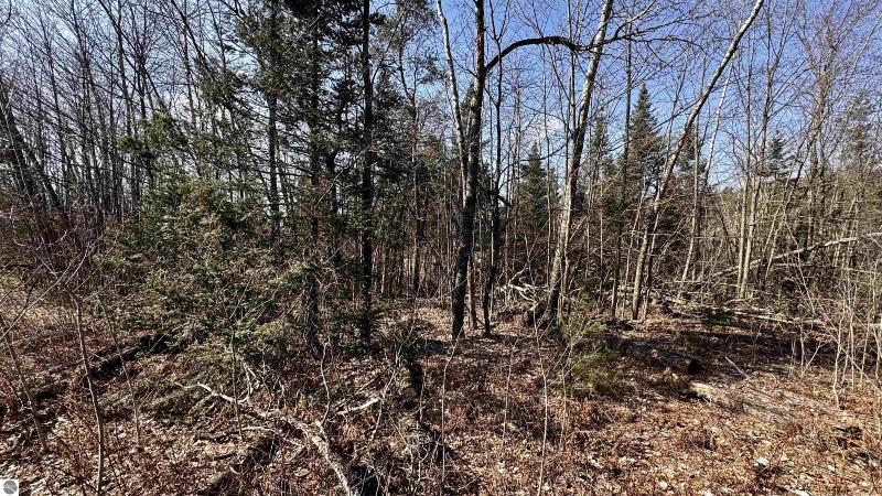 Listing Photo for LOT 29 White Pine Drive