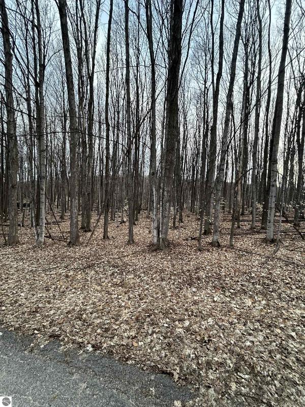 Listing Photo for LOT 191 Hilltop Drive