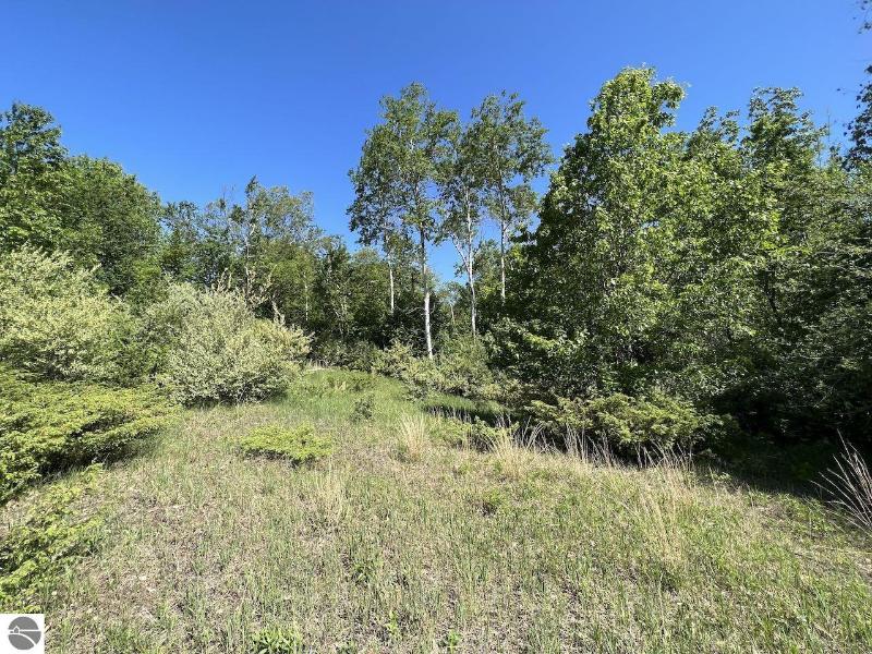 Listing Photo for LOT 4 Alden Meadows Drive