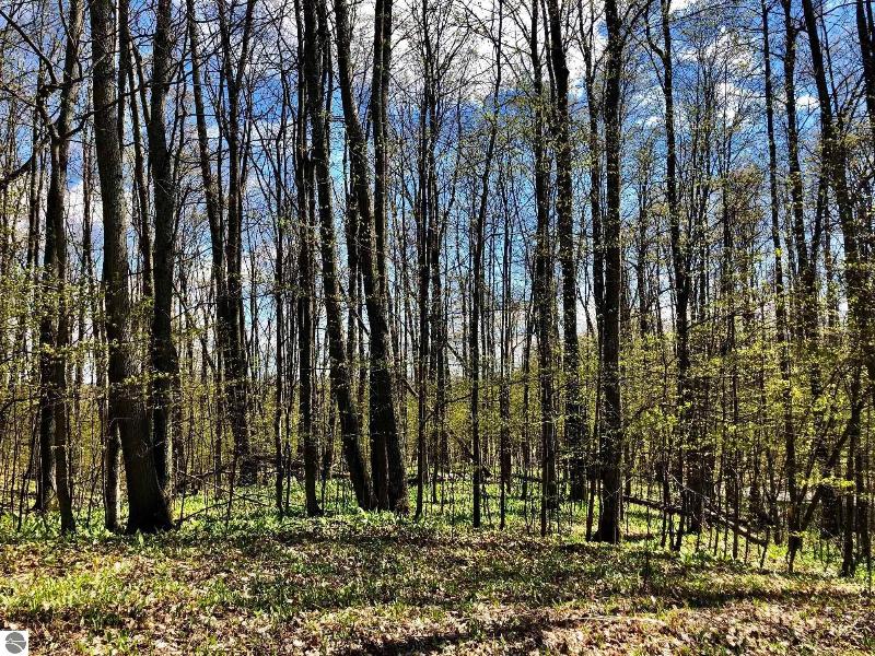 Listing Photo for 165 Forest Highlands LOT 165