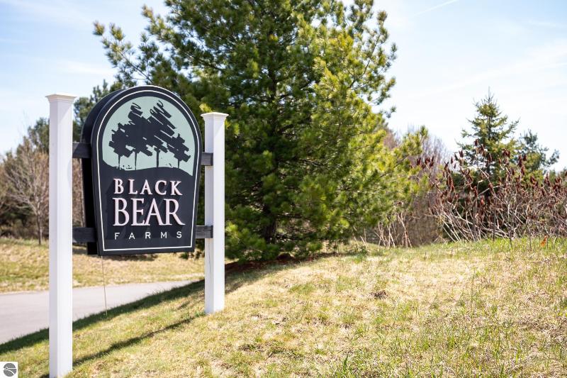 Listing Photo for 4849 Black Bear Drive 20