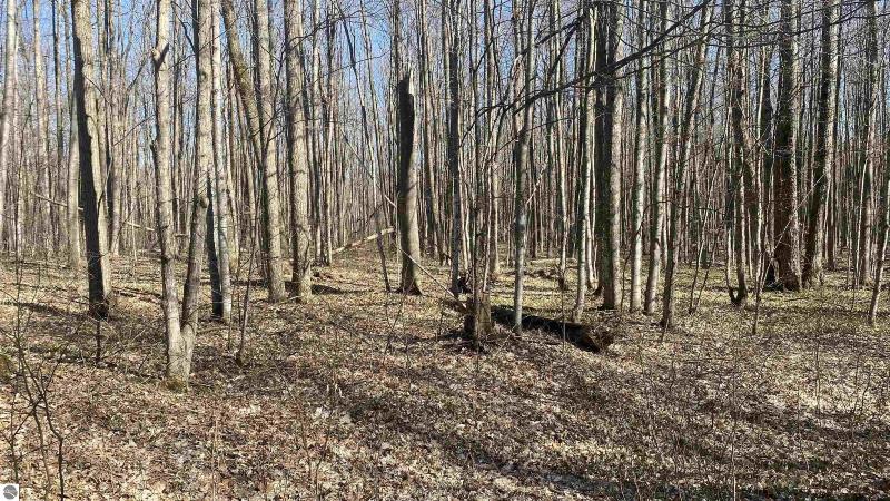 Listing Photo for LOT 158 Forestgrove Drive