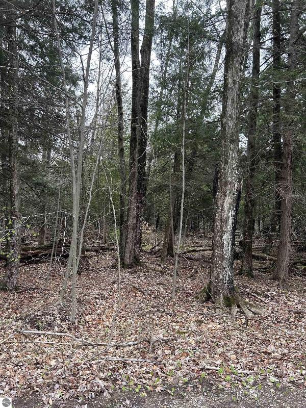 Listing Photo for LOT 46 Creekside Drive