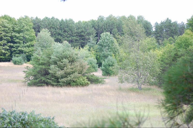 Listing Photo for 0 Lakeview Road 12 ACRES +-
