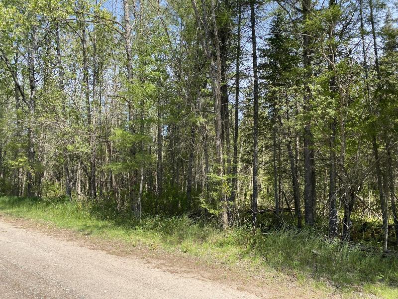 Listing Photo for 000 S Pine River Road