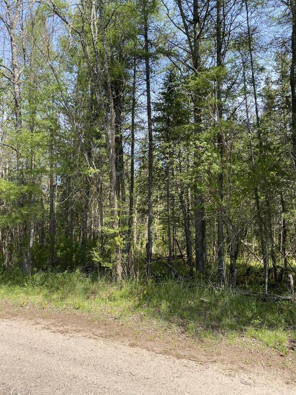 Listing Photo for 000 S Pine River Road