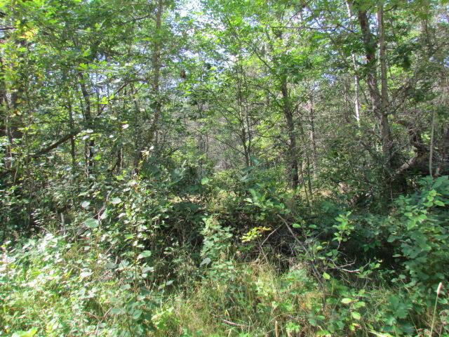 Listing Photo for LOT 82 Wintergreen Court