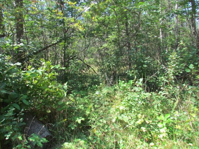 Listing Photo for LOT 82 Wintergreen Court