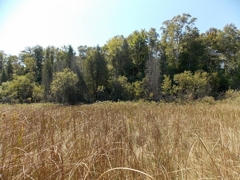 Listing Photo for PARCEL B W Us-23 Highway PARCEL B