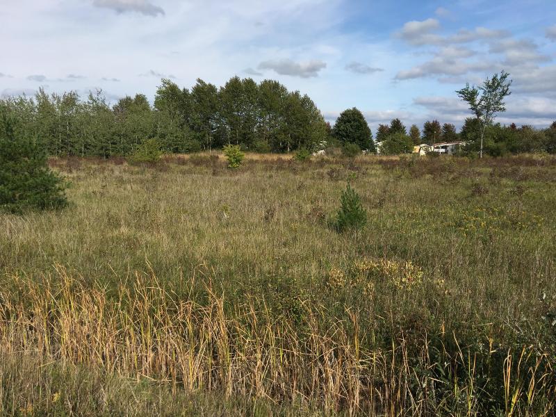 Listing Photo for Townline Road 2.29 ACRES