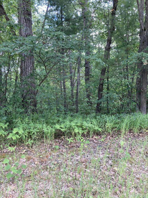 Listing Photo for LOT 26 Co. Rd. 612