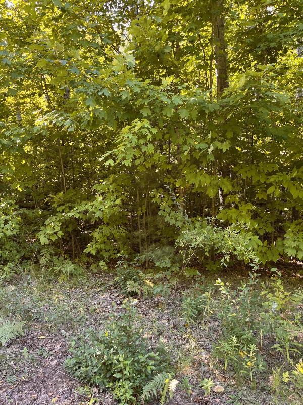 Listing Photo for Deerfield Drive LOT 2