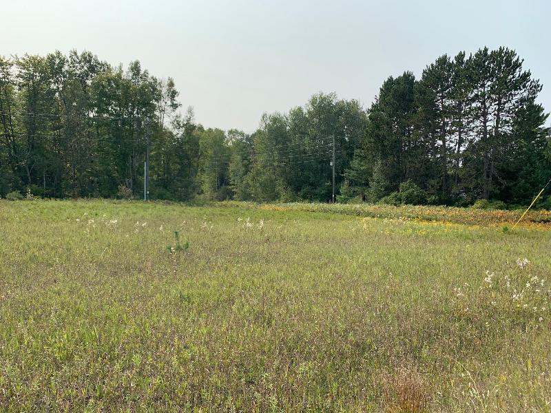 Listing Photo for 2.64 ACRES Marlette Road