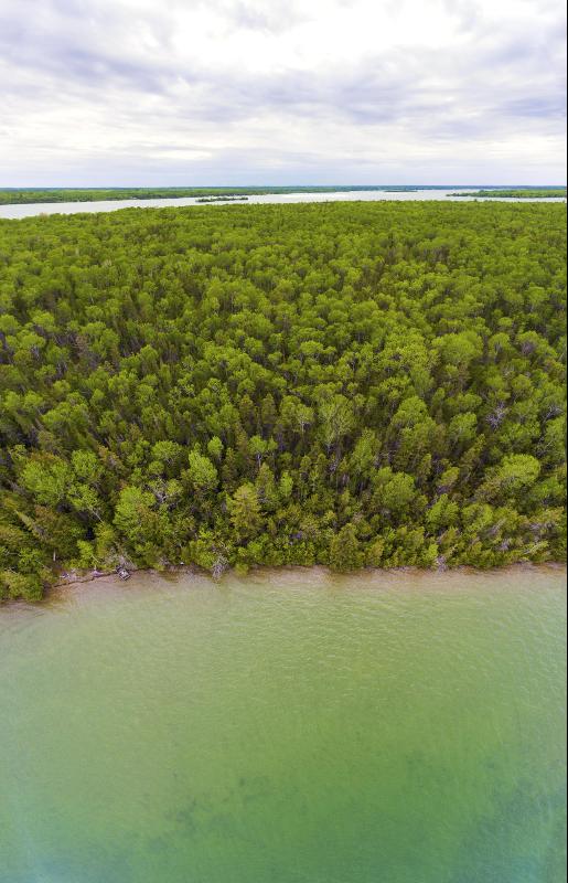 Listing Photo for Grand Island 3.12 ACRES