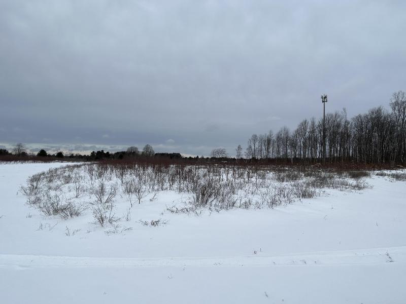 Listing Photo for Eagle Parkway LOT 9