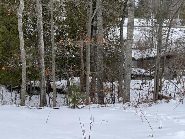 Listing Photo for 661 White Pine Drive LOT 20