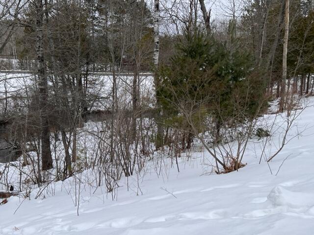 Listing Photo for 505 White Pine Drive LOT 1