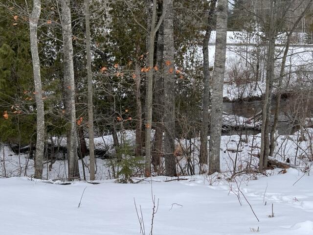 Listing Photo for 505 White Pine Drive LOT 1