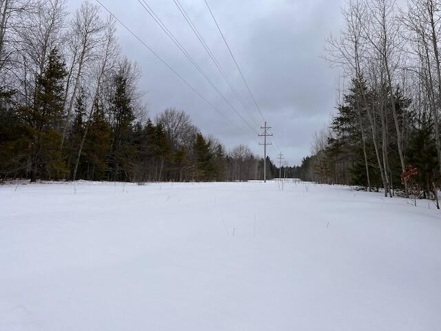 Listing Photo for 6579 Spruce Court LOT 11