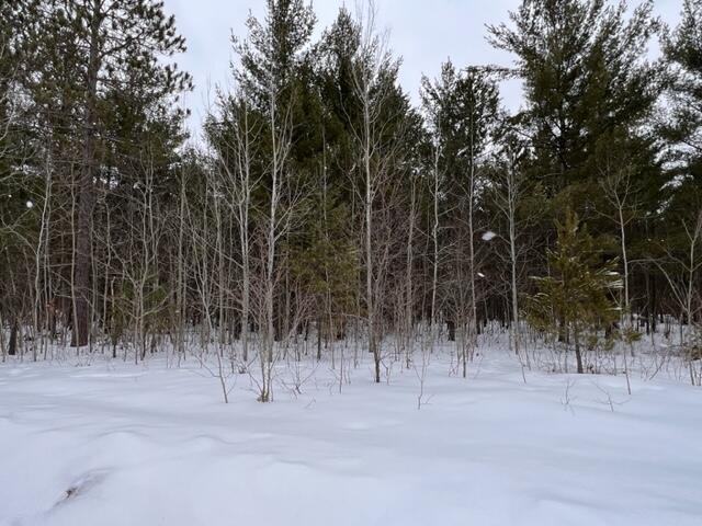 Listing Photo for 632 White Pine Drive LOT 14