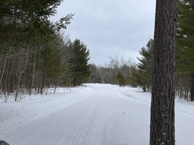Listing Photo for 649 White Pine Drive LOT 19